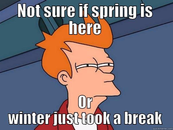 NOT SURE IF SPRING IS HERE OR WINTER JUST TOOK A BREAK Futurama Fry