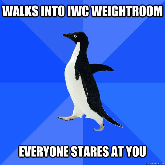 Walks into IWC weightroom   everyone stares at you  Socially Awkward Penguin