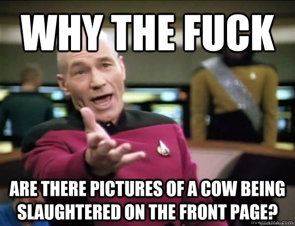 why the fuck are there pictures of a cow being slaughtered on the front page? - why the fuck are there pictures of a cow being slaughtered on the front page?  Annoyed Picard HD