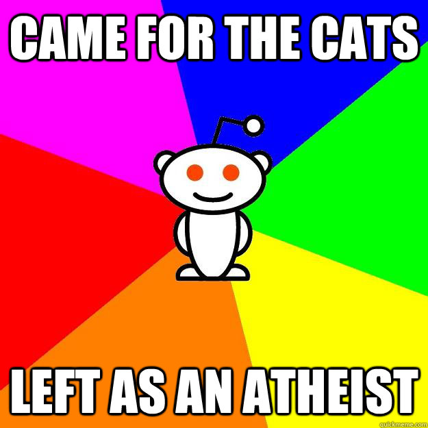 Came for the cats Left as an atheist - Came for the cats Left as an atheist  Reddit Alien