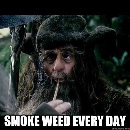  Smoke weed Every Day  