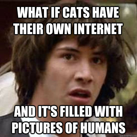 What if cats have their own internet  and it's filled with pictures of humans  conspiracy keanu