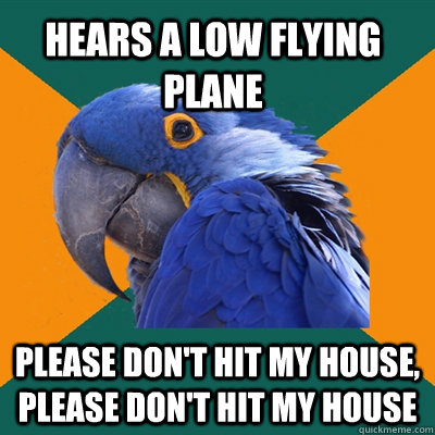 Hears a low flying plane Please don't hit my house, please don't hit my house  Paranoid Parrot