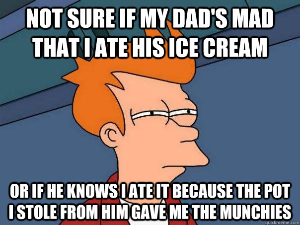 Not sure if my dad's mad that I ate his ice cream or if he knows I ate it because the pot I stole from him gave me the munchies  Futurama Fry