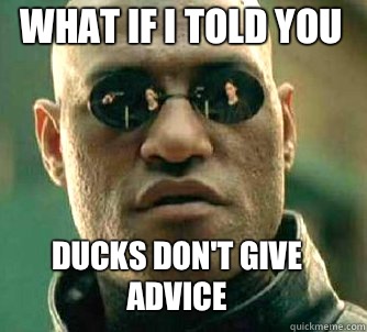 what if i told you Ducks don't give advice  Matrix Morpheus