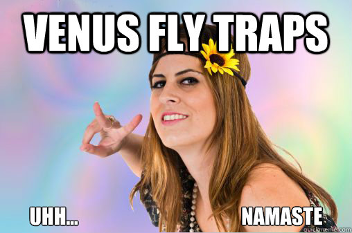 Venus Fly Traps uhh...                                          namaste      Annoying Vegan