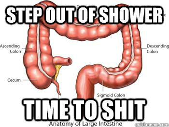 step out of shower time to shit - step out of shower time to shit  Scumbag Colon