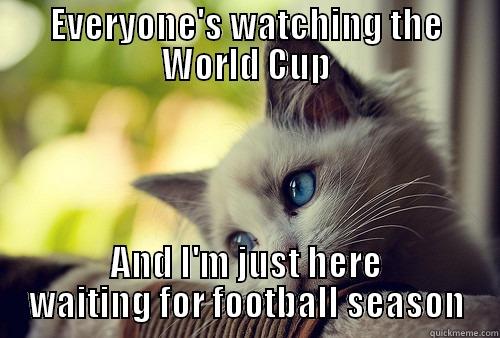 EVERYONE'S WATCHING THE WORLD CUP AND I'M JUST HERE WAITING FOR FOOTBALL SEASON First World Problems Cat