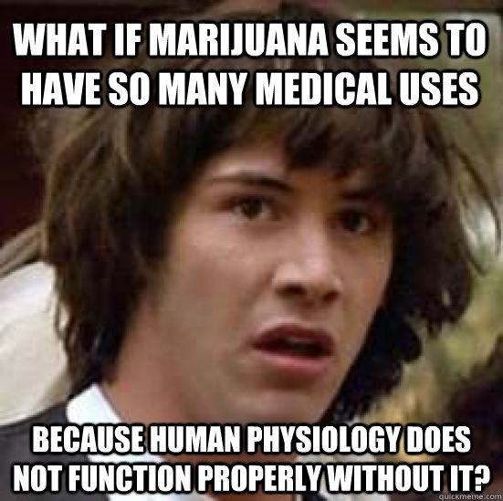 What if marijuana seems to have so many medical uses because human physiology does not function properly without it?  conspiracy keanu
