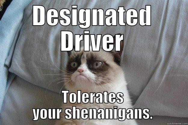 DESIGNATED DRIVER TOLERATES YOUR SHENANIGANS. Grumpy Cat