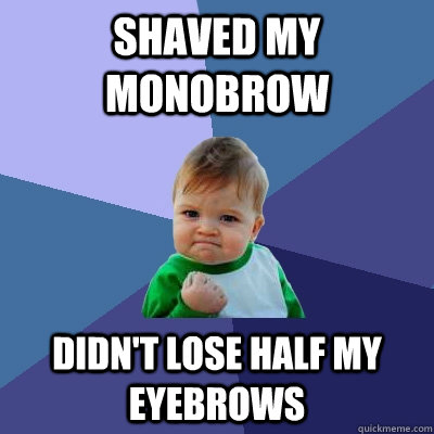 Shaved my monobrow didn't lose half my eyebrows  Success Kid