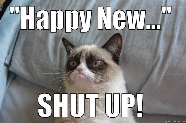 Grumpy Cat doesn't like New Years! - 