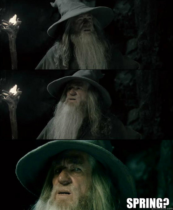  Spring?  Confused Gandalf