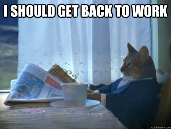 I should get back to work   morning realization newspaper cat meme
