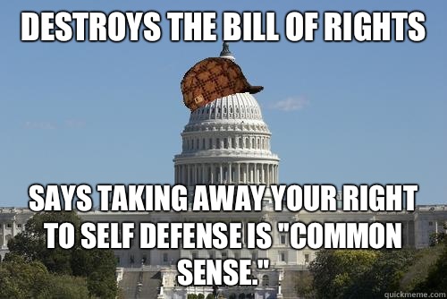 Destroys the bill of rights  Says taking away your right to self defense is ''common sense.