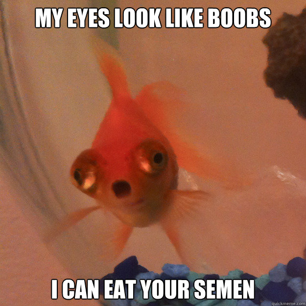 My eyes look like boobs I can eat your semen  Shocked Fish