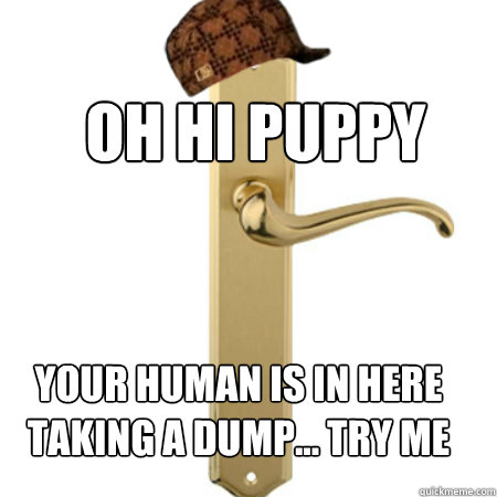 OH HI PUPPY YOUR HUMAN IS IN HERE TAKING A DUMP... TRY ME  Scumbag Door handle