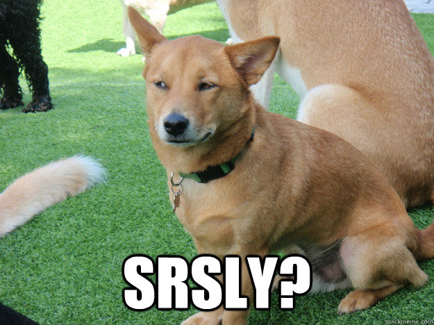  srsly? -  srsly?  Side Eye Dog