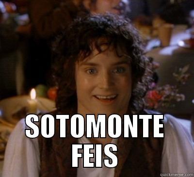  SOTOMONTE FEIS Misc