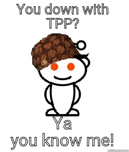 YOU DOWN WITH TPP? YA YOU KNOW ME! Scumbag Reddit