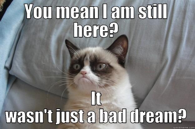 YOU MEAN I AM STILL HERE? IT WASN'T JUST A BAD DREAM? Grumpy Cat