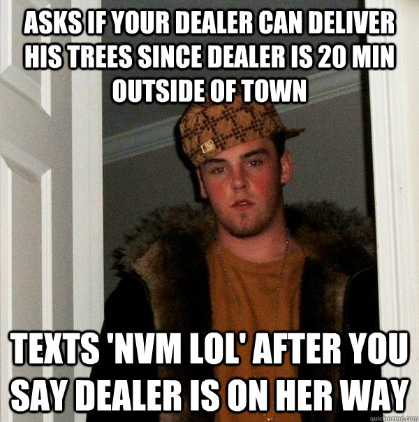 asks if your dealer can deliver his trees since dealer is 20 min outside of town texts 'nvm lol' after you say dealer is on her way - asks if your dealer can deliver his trees since dealer is 20 min outside of town texts 'nvm lol' after you say dealer is on her way  Scumbag Steve