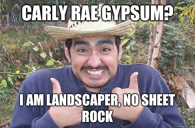 Carly rae gypsum? i am landscaper, no sheet rock - Carly rae gypsum? i am landscaper, no sheet rock  Cool story mexican