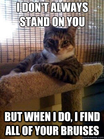 i don't always stand on you but when i do, i find all of your bruises  The Most Interesting Cat in the World