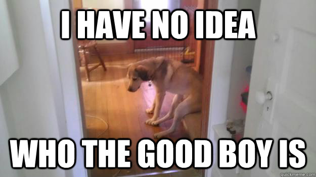 I have no idea Who the good boy is  