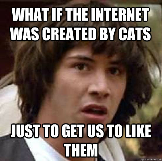 What if the internet was created by cats Just to get us to like them   conspiracy keanu