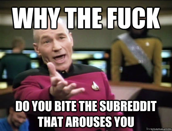Why the fuck do you bite the subreddit that arouses you  Annoyed Picard HD