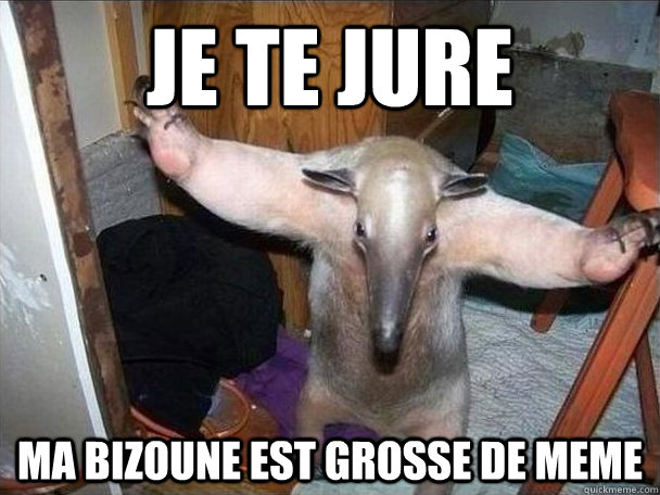 Je te jure Ma bizoune est grosse de meme  I got this