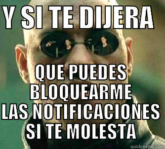 Y SI TE DIJERA   QUE PUEDES BLOQUEARME LAS NOTIFICACIONES SI TE MOLESTA Matrix Morpheus