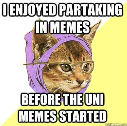 I enjoyed partaking in memes before the uni memes started  Hipster Kitty