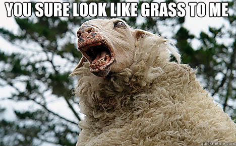 You sure look like grass to me   Meth Sheep