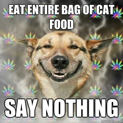 Eat entire bag of cat food say nothing  Stoner Dog