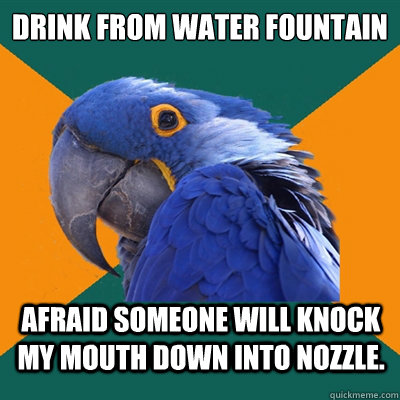 drink from water fountain afraid someone will knock my mouth down into nozzle. - drink from water fountain afraid someone will knock my mouth down into nozzle.  Paranoid Parrot