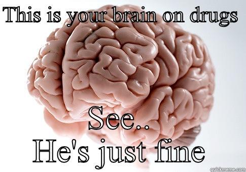 THIS IS YOUR BRAIN ON DRUGS  SEE.. HE'S JUST FINE Scumbag Brain