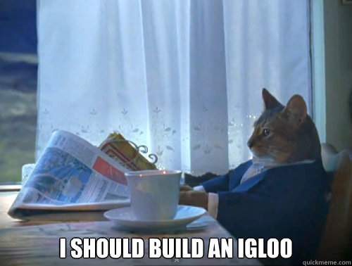  i should build an igloo  The One Percent Cat