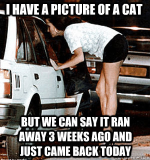 I have a picture of a cat but we can say it ran away 3 weeks ago and just came back today  Karma Whore
