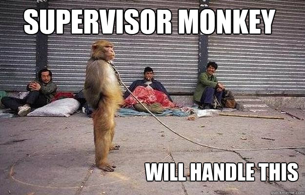 Supervisor Monkey Will handle this  Superior Monkey