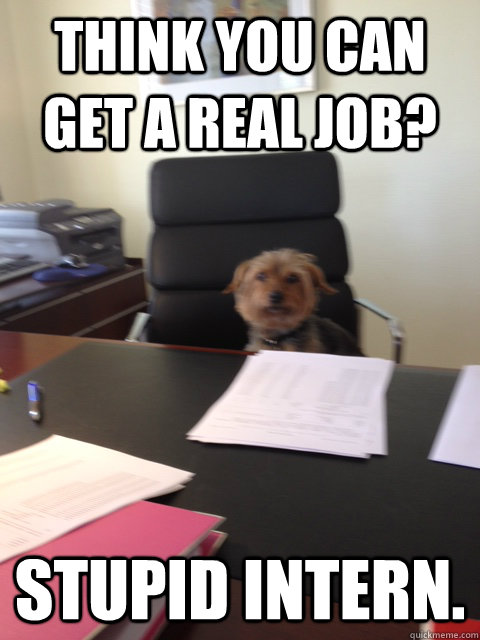 Think you can get a real job? Stupid Intern. - Think you can get a real job? Stupid Intern.  Boss Dog