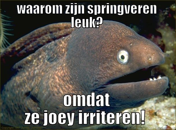 dat logica. - WAAROM ZIJN SPRINGVEREN LEUK? OMDAT ZE JOEY IRRITEREN!  Bad Joke Eel