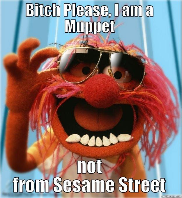 BITCH PLEASE, I AM A MUPPET NOT FROM SESAME STREET Advice Animal