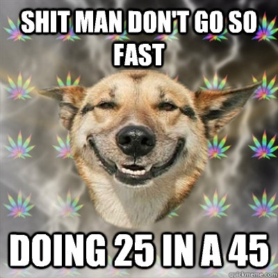 Shit man don't go so fast Doing 25 in a 45  Stoner Dog