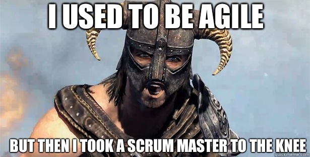 I used to be agile But then I took a scrum master to the knee  skyrim
