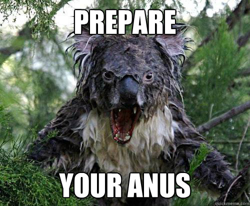prepare your anus - prepare your anus  evil koala