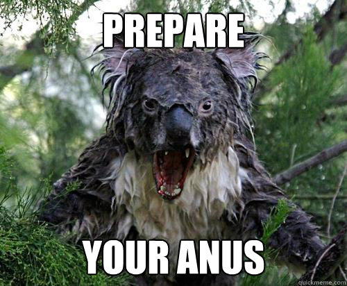 prepare your anus  evil koala