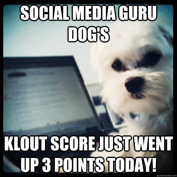 Social Media Guru Dog's Klout score just went up 3 points today!  