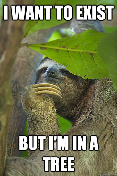 I want to Exist But I'm in a tree  Philososloth
